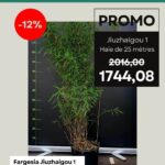 Haie de Fargesia Jiuzhaigou 1 de 25 mètres