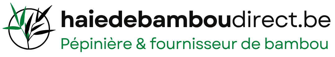 Haie de Bambou Direct