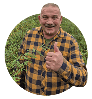 Conseil d'expert en bambou