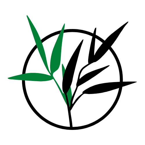 Haie de Bambou Direct