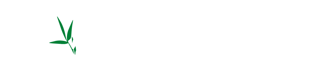 Haie de Bambou Direct